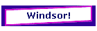 Windsor!